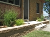 A new planter in the backyard scales the house in...Kitty surveys the work.