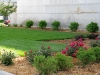 A close-up of the lawn areas.