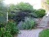 This photo shows the well-used steps from another angle.