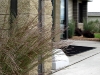 Continuing around the corner, The Blues Little Bluestem flank the front door.  Looking across the front you can see the way the colors tie in with the building and each other.