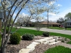 Angle 3...stop and smell the serviceberry!