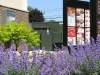 KFC Gets Some TLC