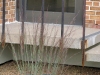 Landscaping is Good for Your Health[care Facility]
