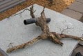 irrpipe_rootpinch (1)_web