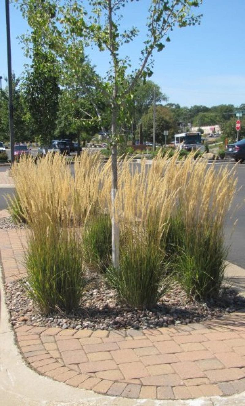 Gundersen Lutheran Landscaping Winona Nursery